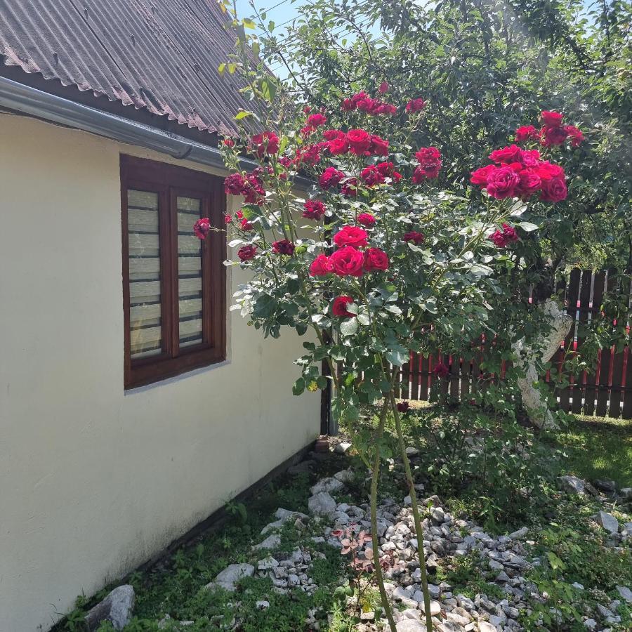 Vila Paula & Spa Sovata Exteriör bild