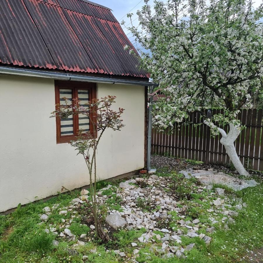 Vila Paula & Spa Sovata Exteriör bild